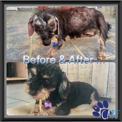 Piki & Poeh Before & After