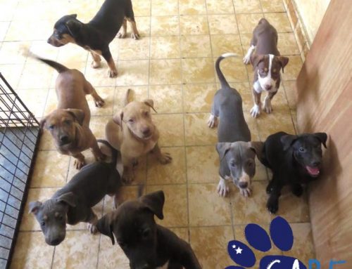 Happy Mother’s Day!