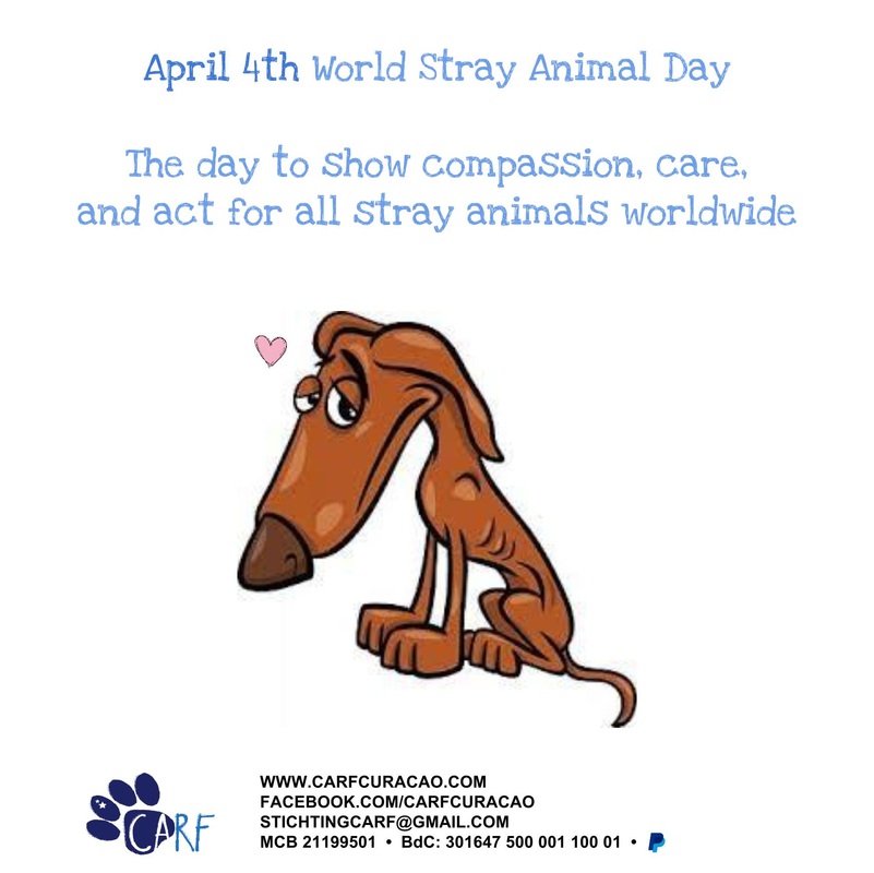 April 4th: World Stray Animal Day – CARF Curaçao