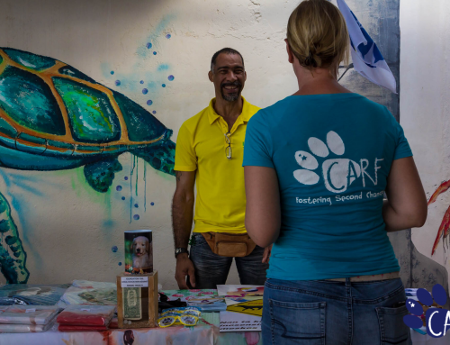 CARF organiseert adoptie evenement ‘Coffee Cups & Rescue Pups’ bij Dive City