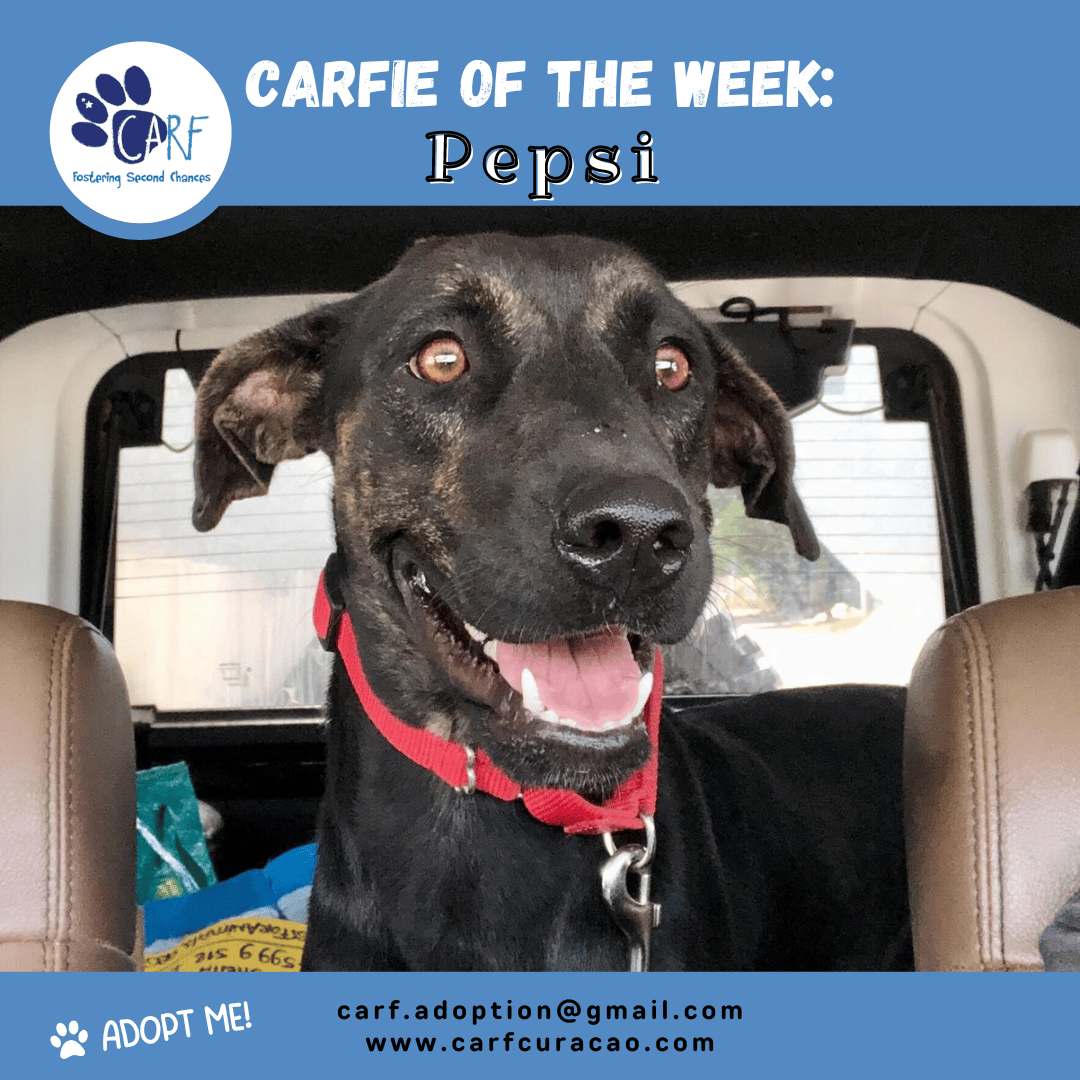 CARFIE Of The Week: Pepsi