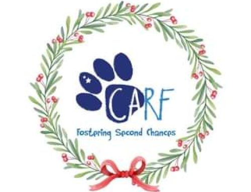 Happy Holidays from our family to yours! End-of-the-year donations are very much appreciat…