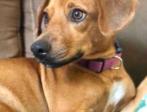 Oh my what a cutie…