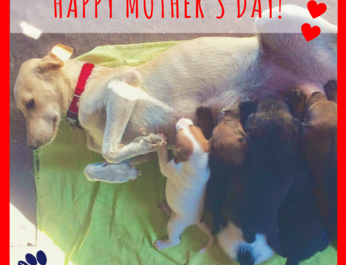 Happy Mother’s Day!