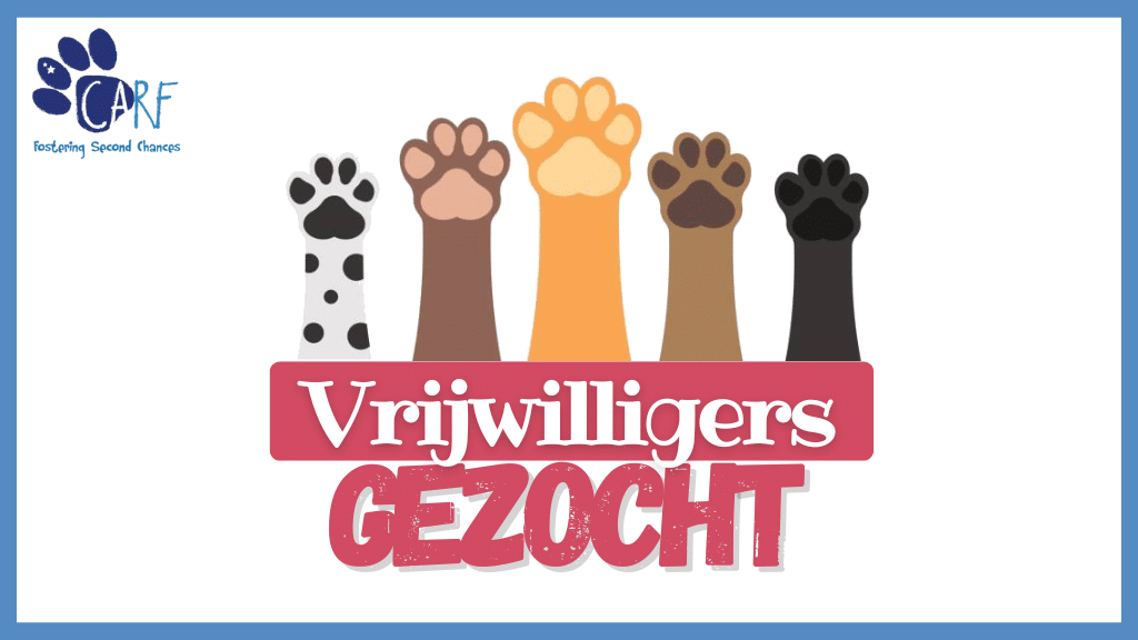 vrijwilligers gezocht