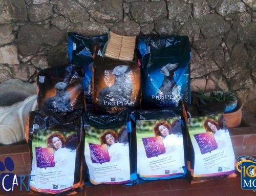 Thank You, Maduro & Curiel’s Bank!