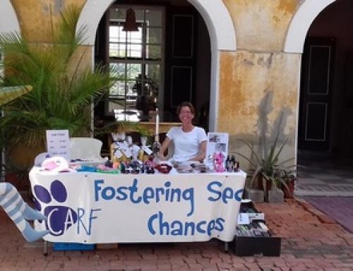 CARF At Marshe Di Artesania